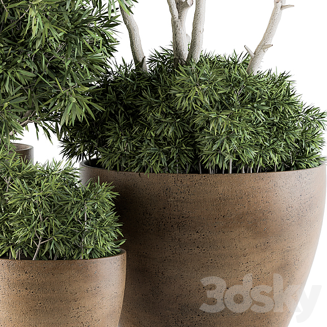Outdoor Plants tree in Concrete Pot – Set 111 3DSMax File - thumbnail 4