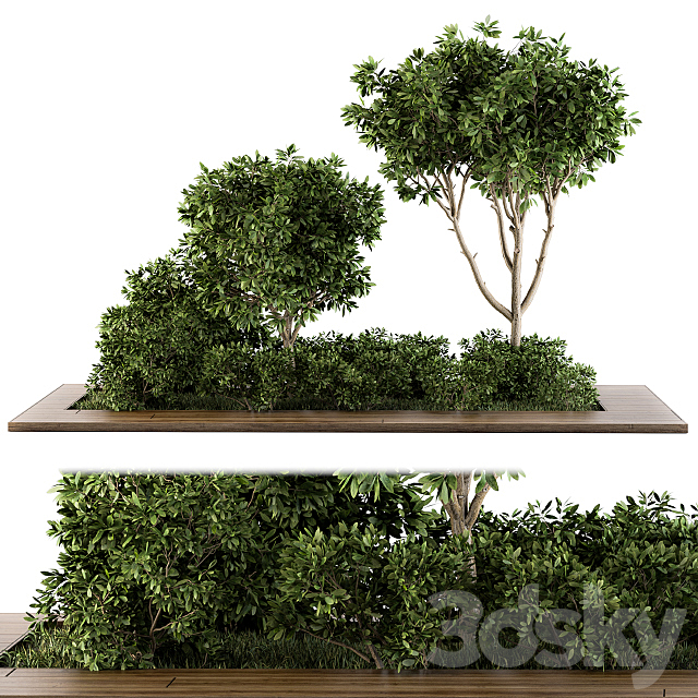 Garden set bush and Tree – Garden Set 07 3DSMax File - thumbnail 1