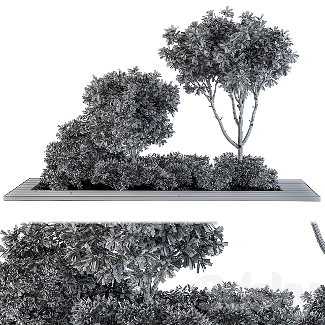 Garden set bush and Tree – Garden Set 07 3DSMax File - thumbnail 5