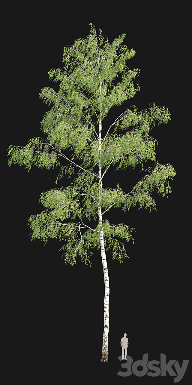 3dsky Free Download