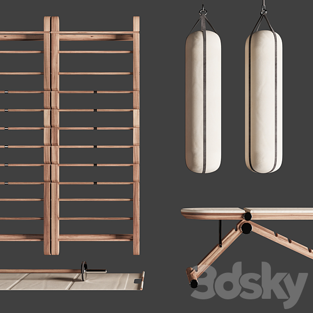 PENT. luxury fitness equipment 3d