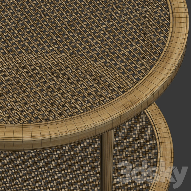 Double wooden rattan coffee table _ Double rattan coffee table 3DSMax File - thumbnail 3