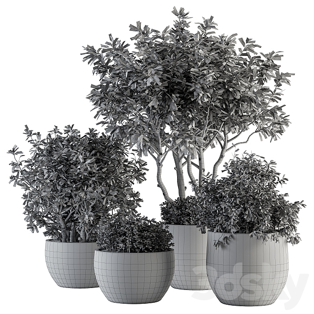 Outdoor Plants tree in Concrete Pot – Set 128 3DSMax File - thumbnail 5