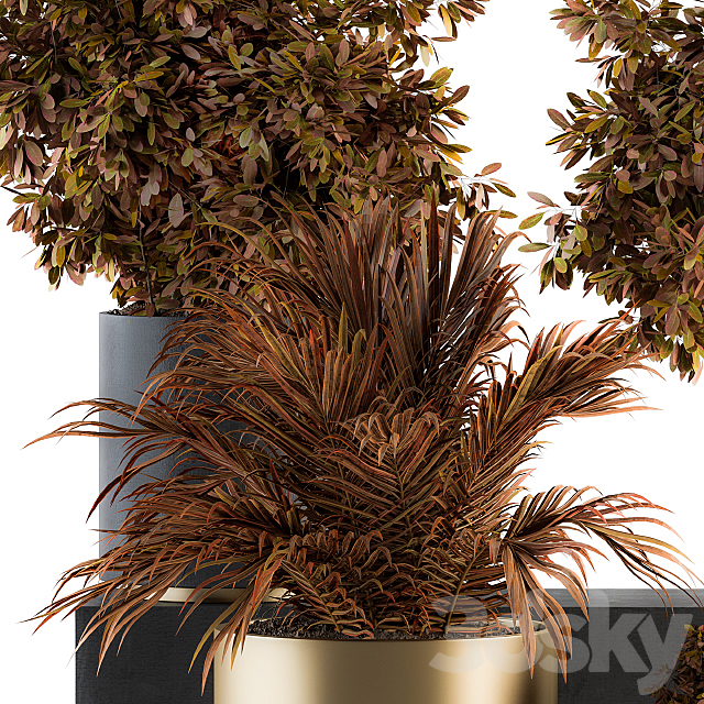indoor Plant Set 91 – Black and Gold (Red Plant) 3DSMax File - thumbnail 2