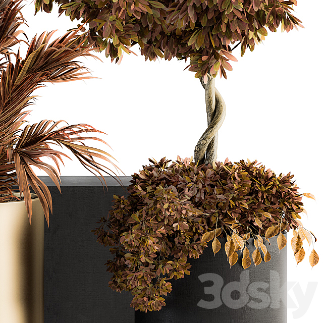indoor Plant Set 91 – Black and Gold (Red Plant) 3DSMax File - thumbnail 3