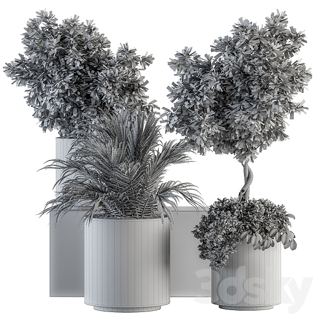 indoor Plant Set 91 – Black and Gold (Red Plant) 3DSMax File - thumbnail 5