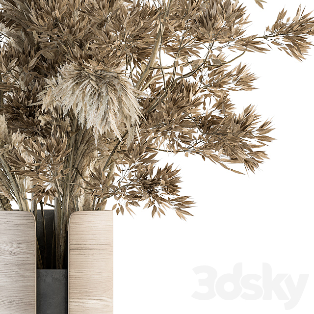 Dry plants 48 – Dried Plant Bouquet 3DSMax File - thumbnail 3