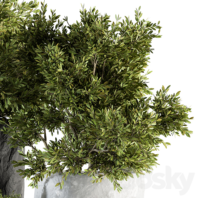 Outdoor Plants tree in Rock Pot – Set 136 3DSMax File - thumbnail 2