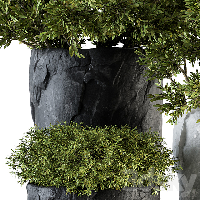 Outdoor Plants tree in Rock Pot – Set 136 3DSMax File - thumbnail 4