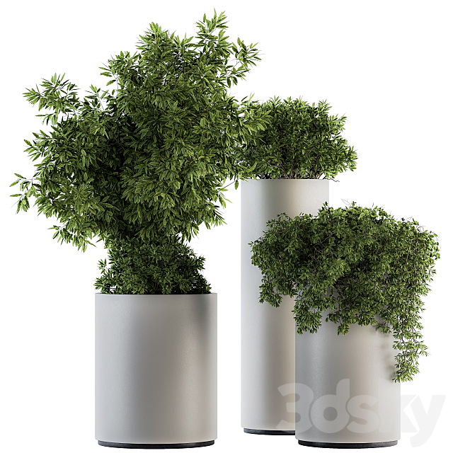 indoor Plant Set 120 – Green and White Set 3DSMax File - thumbnail 1