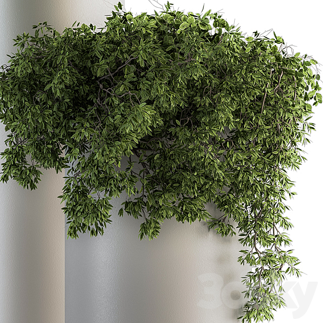 indoor Plant Set 120 – Green and White Set 3DSMax File - thumbnail 3