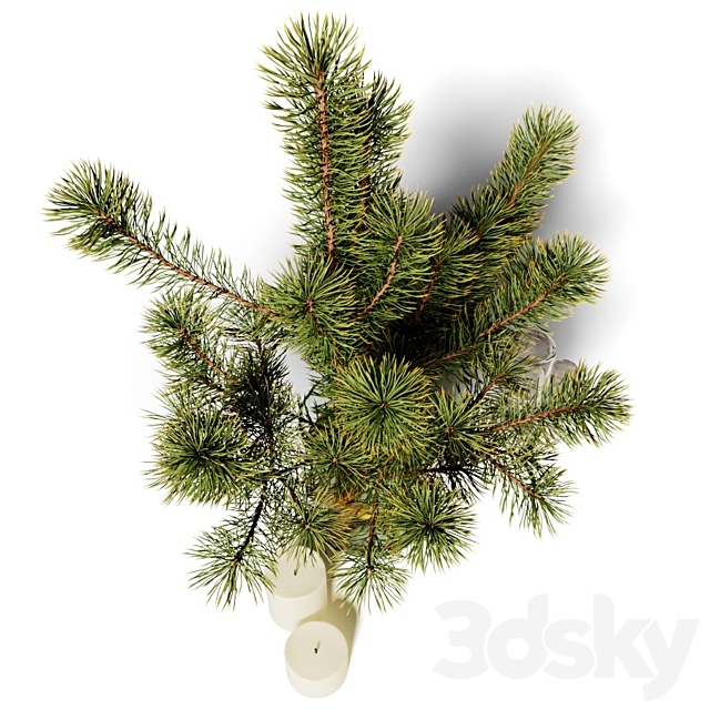 Bouquet of pine branches in a glass vase 3DSMax File - thumbnail 2