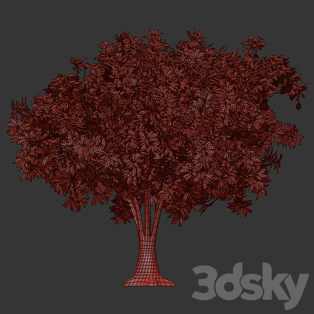 3dsky Free Download