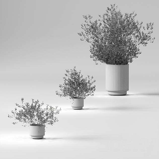 3dsky Free Download