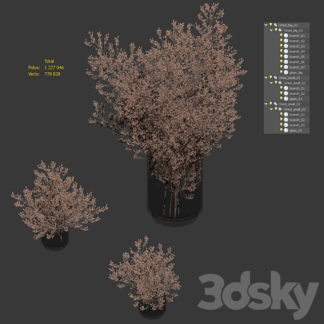 3dsky
