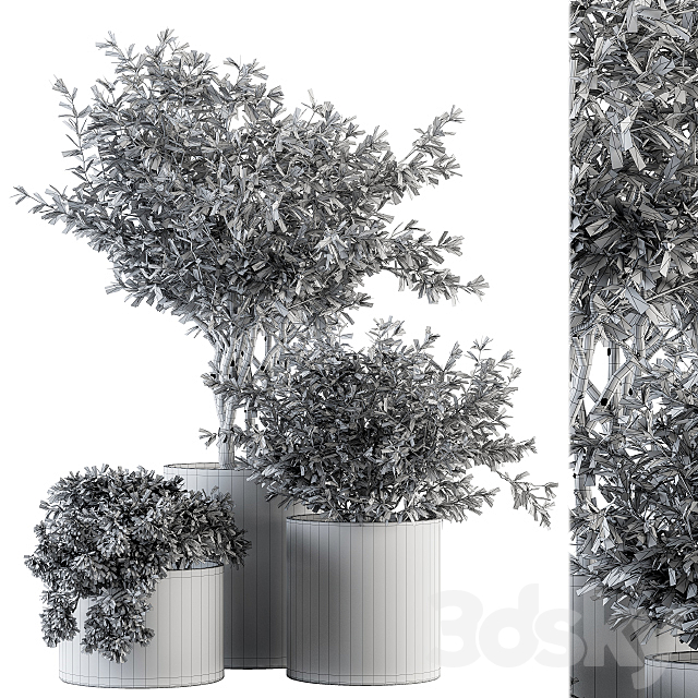 Outdoor Plants tree in Concrete Pot – Set 141 3DSMax File - thumbnail 4