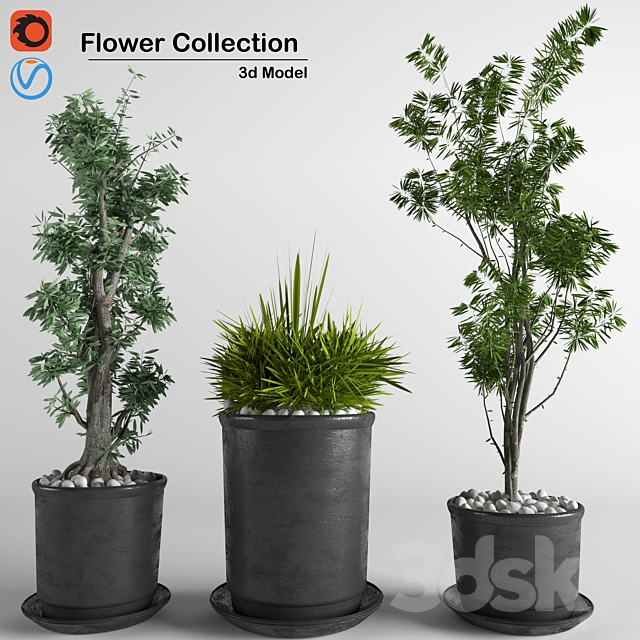 flower collection 3p 3DSMax File - thumbnail 1