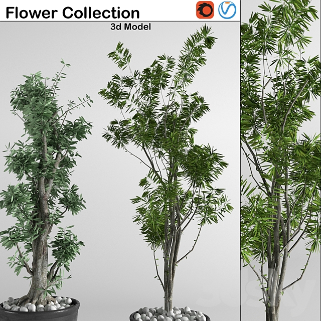 flower collection 3p 3DSMax File - thumbnail 2