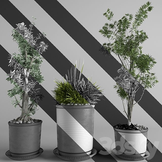 flower collection 3p 3DSMax File - thumbnail 3