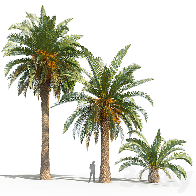 3dsky Free Download