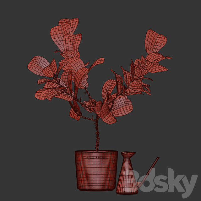Photorealistic Ficus Lyrata pot 150cm 3D model 3DSMax File - thumbnail 4