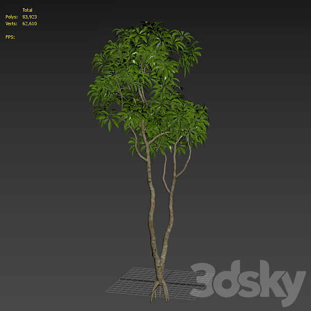 3d