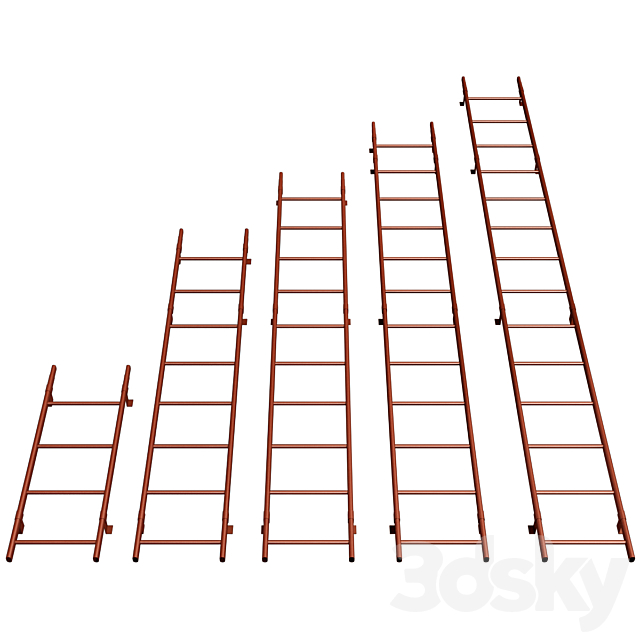 Roof ladder _ Roof safety system 3dsky