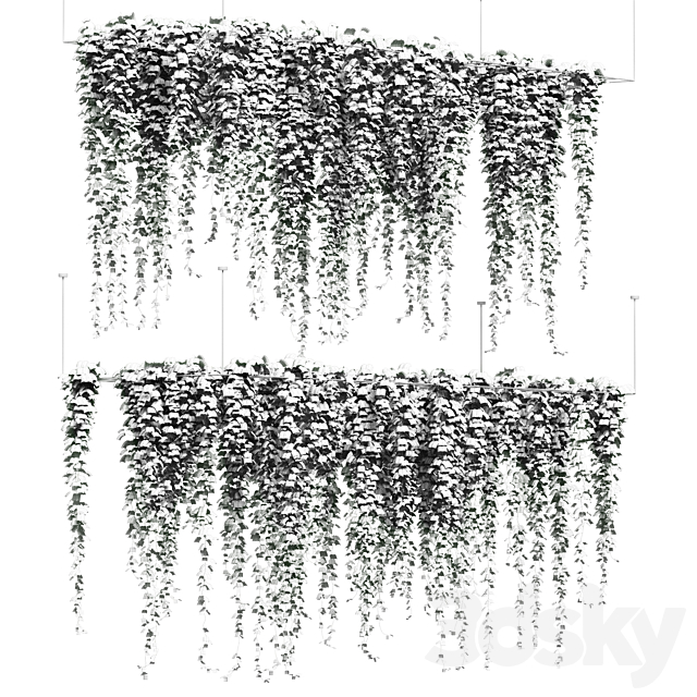 3d