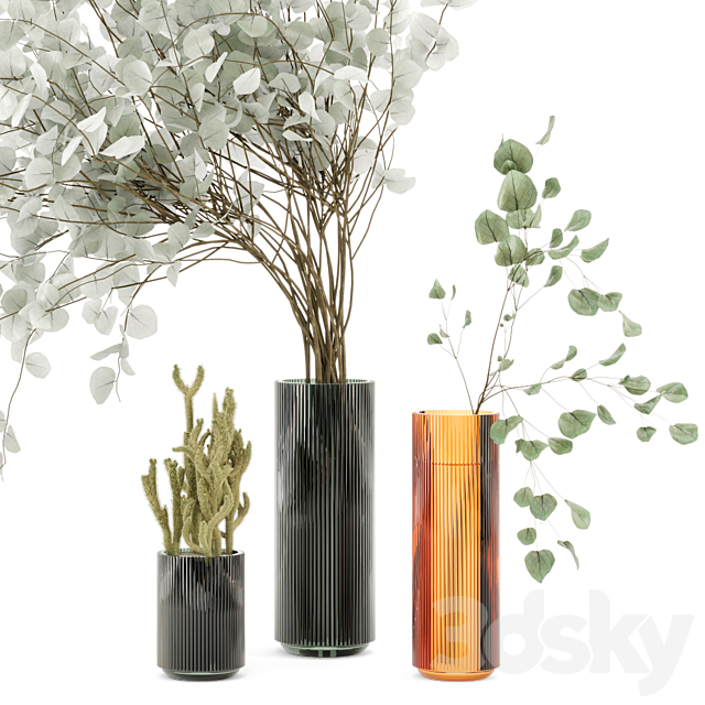 Indoor Plants Cactus & Eucalyptus whit Glass Pots – Set 38 3DSMax File - thumbnail 2