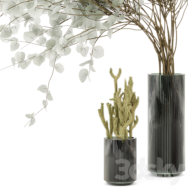 Indoor Plants Cactus & Eucalyptus whit Glass Pots – Set 38 3DSMax File - thumbnail 4