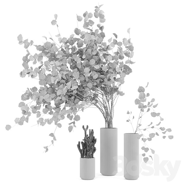 Indoor Plants Cactus & Eucalyptus whit Glass Pots – Set 38 3DSMax File - thumbnail 5
