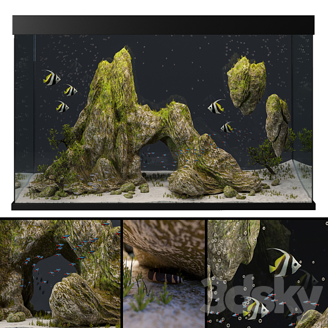 Aquarium with rocks and moss 3DModel