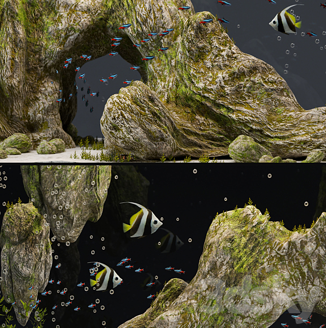 Aquarium with rocks and moss 3d