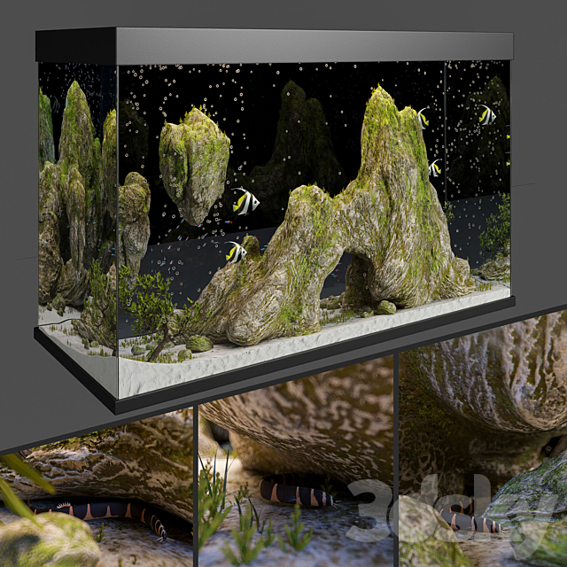 Aquarium with rocks and moss 3DSMax File - thumbnail 4