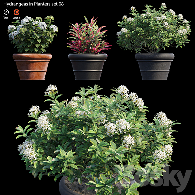 3dsky Free Download
