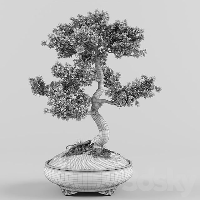 Sakura bonsai tree 3DSMax File - thumbnail 5