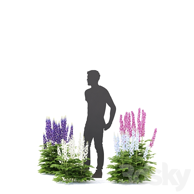3dsky Free Download