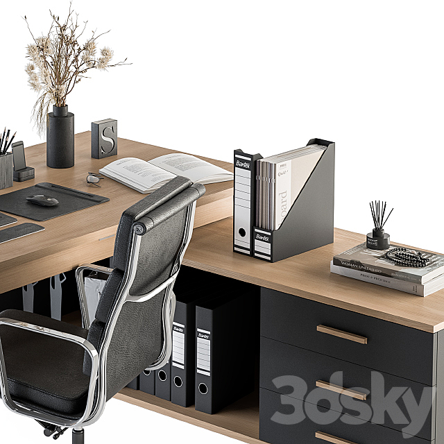 3dsky Free Download