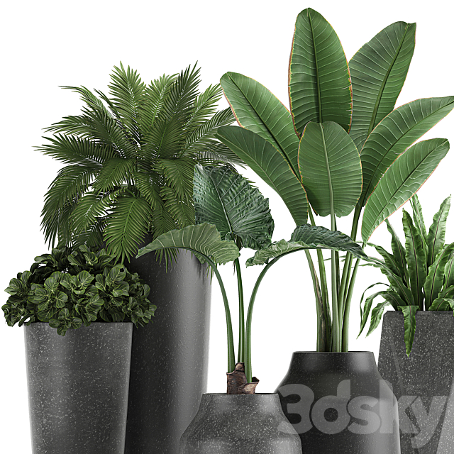 3dsky Free Download