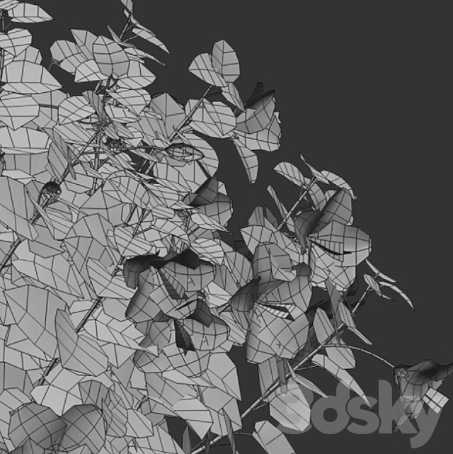 3dsky