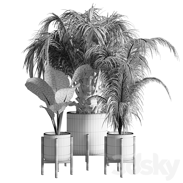 indoor plant 13 3DSMax File - thumbnail 4