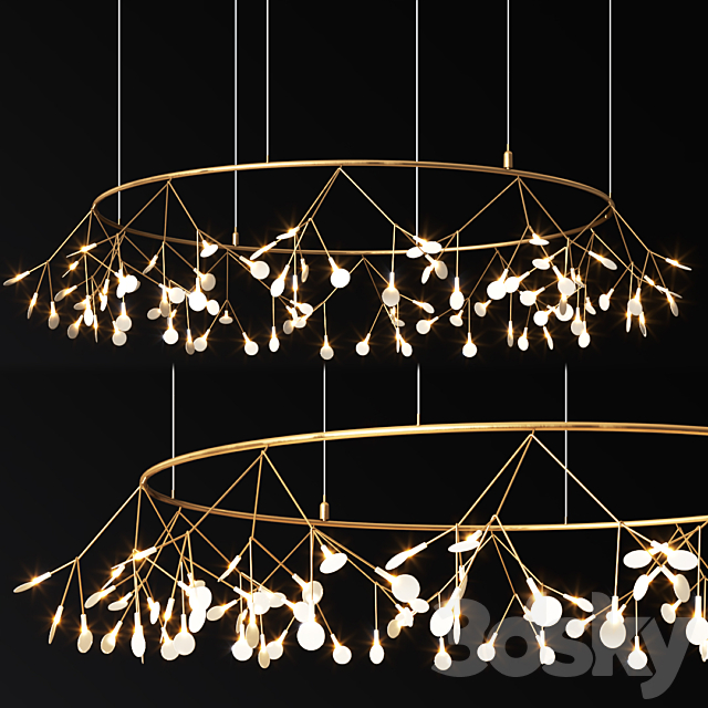 Heracleum The Big OMoooi 3d