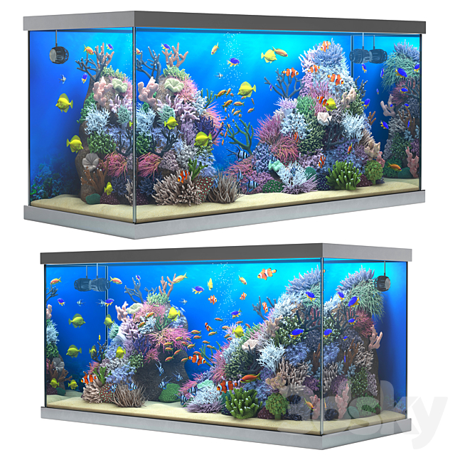 Seawater aquarium 3DSMax File - thumbnail 2