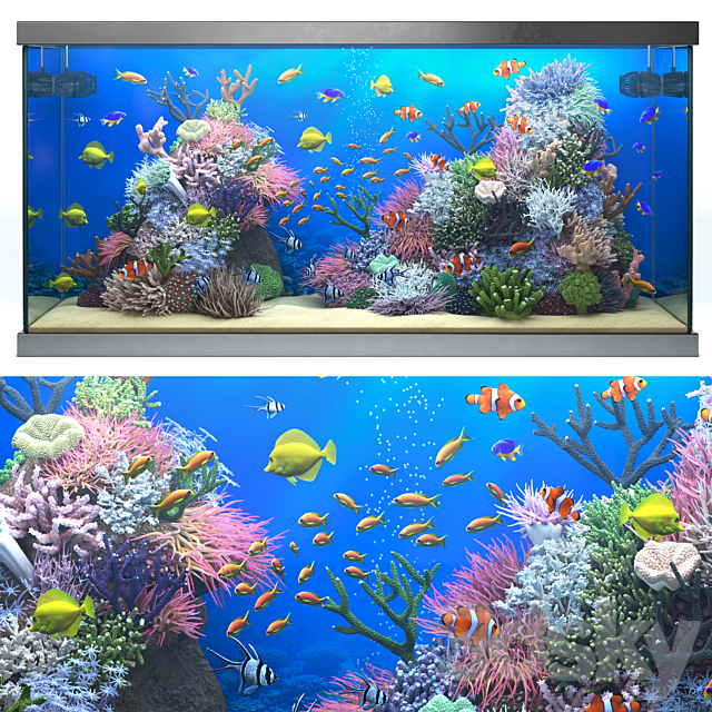 Seawater aquarium 3DSMax File - thumbnail 1