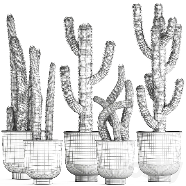 Collection of plants fluffy cacti in black pots. indoor Cleistocactus. Set 840. 3DSMax File - thumbnail 5