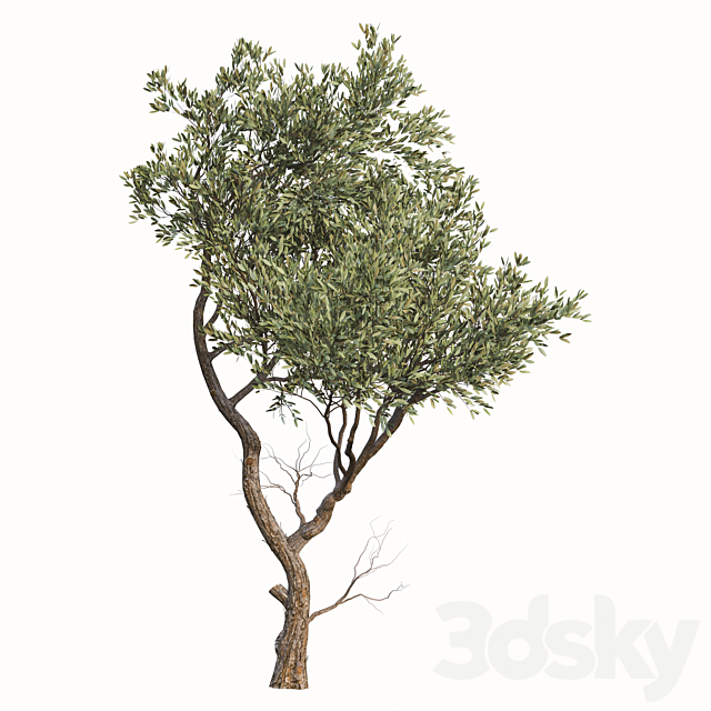 3dsky Free Download