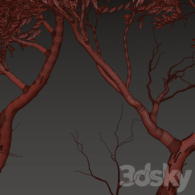 3dskyfree