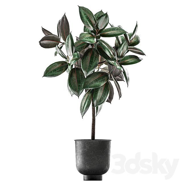 3dsky Free Download