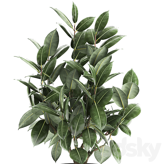 3dsky Free Download