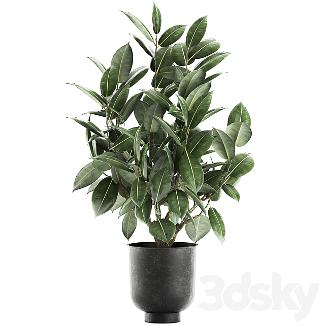 3dsky